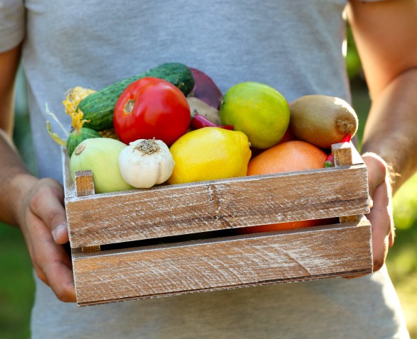 man holding basket of fruits and vegetables