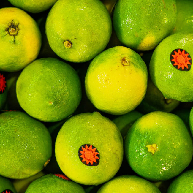 Oranges Fruit in basket